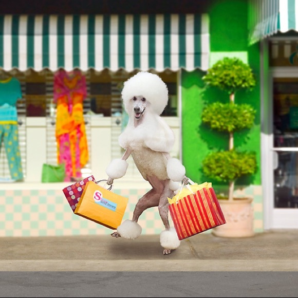 All items beyond this point are SOLD! - Picture 5 of 8